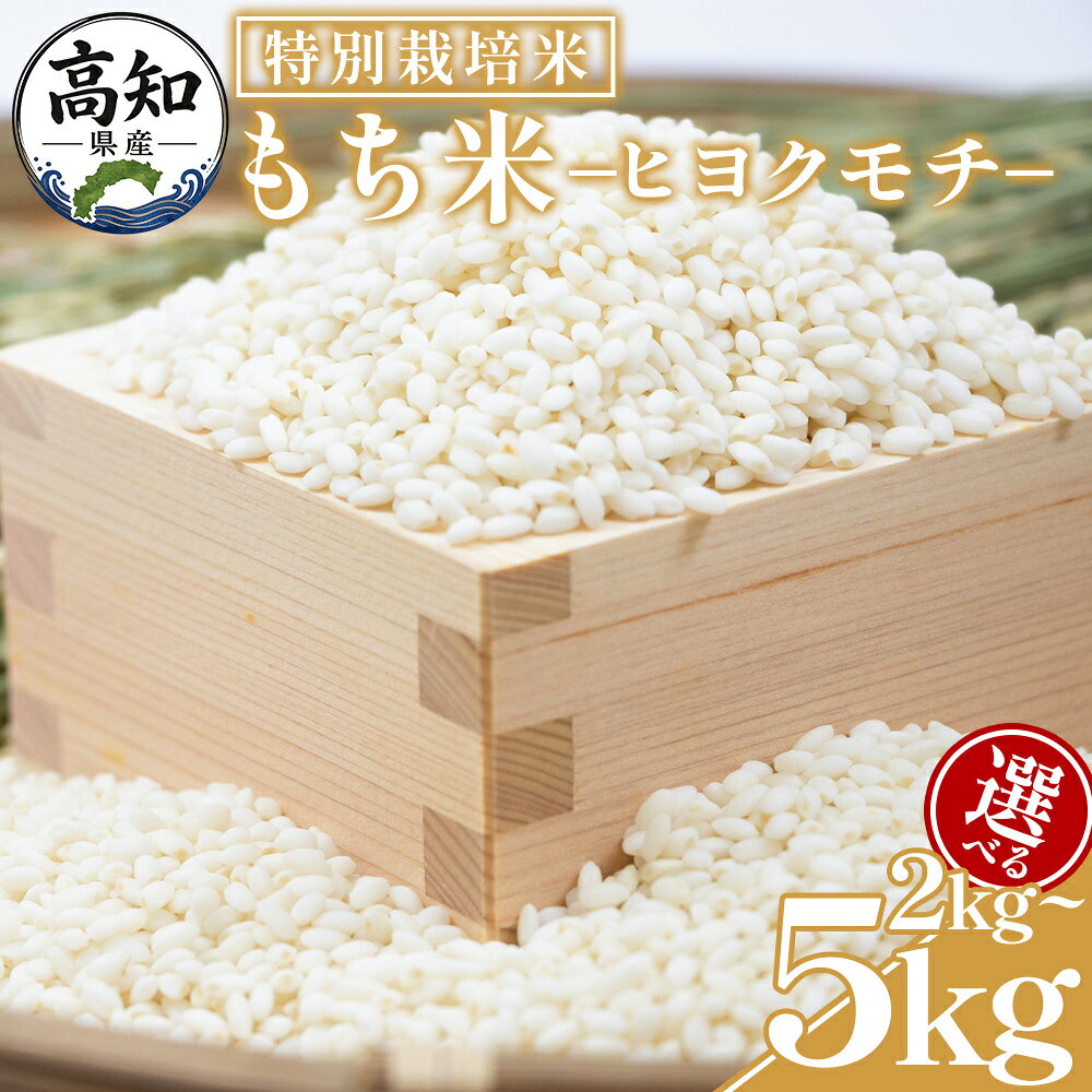 【ふるさと納税】【令和8年産】高知県香南市産 特別栽培米 もち米 2kg/5kg - 国産 餅 モチ もちもち おもち おこわ おはぎ 赤飯 米 お米 アレンジ 調理 高知県 香南市【常温】