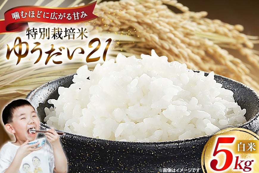 
                  米 令和7年 特別栽培米 ゆうだい21 5kg [遠藤農園 山形県 高畠町 tk06ayt120007] 5キロ お米 ブランド米 ごはん ご飯 白米 精米 こめ
                