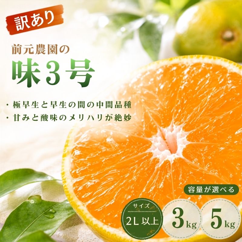 【ふるさと納税】訳あり 前元農園の味3号 2L以上(大サイズ) / 3Kg 5kg【容量が選べる】 くだもの フルーツ 果物 家庭用 人気 みかん ミカン 柑橘 訳あり わけあり 数量限定 旬 【2026年10月下旬頃～順次発送予定】