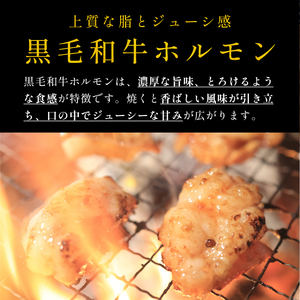 〈スピード出荷〉黒毛和牛ホルモン（塩レモン 小分け 500g）ホルモン MSK021