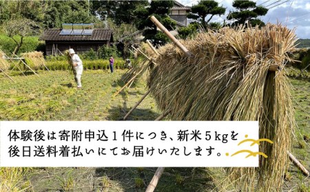 お米づくり 体験チケット　糸島市 / 天然パン工房楽楽【いとしまごころ】[AVC065] 体験型 農業 食育
