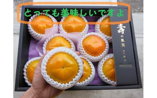 
                  甘柿　太秋柿・ 輝太郎柿 詰合せ 4L×8個入（2.5kg以上） 化粧大箱入り【2026年10月15日頃より発送】
                