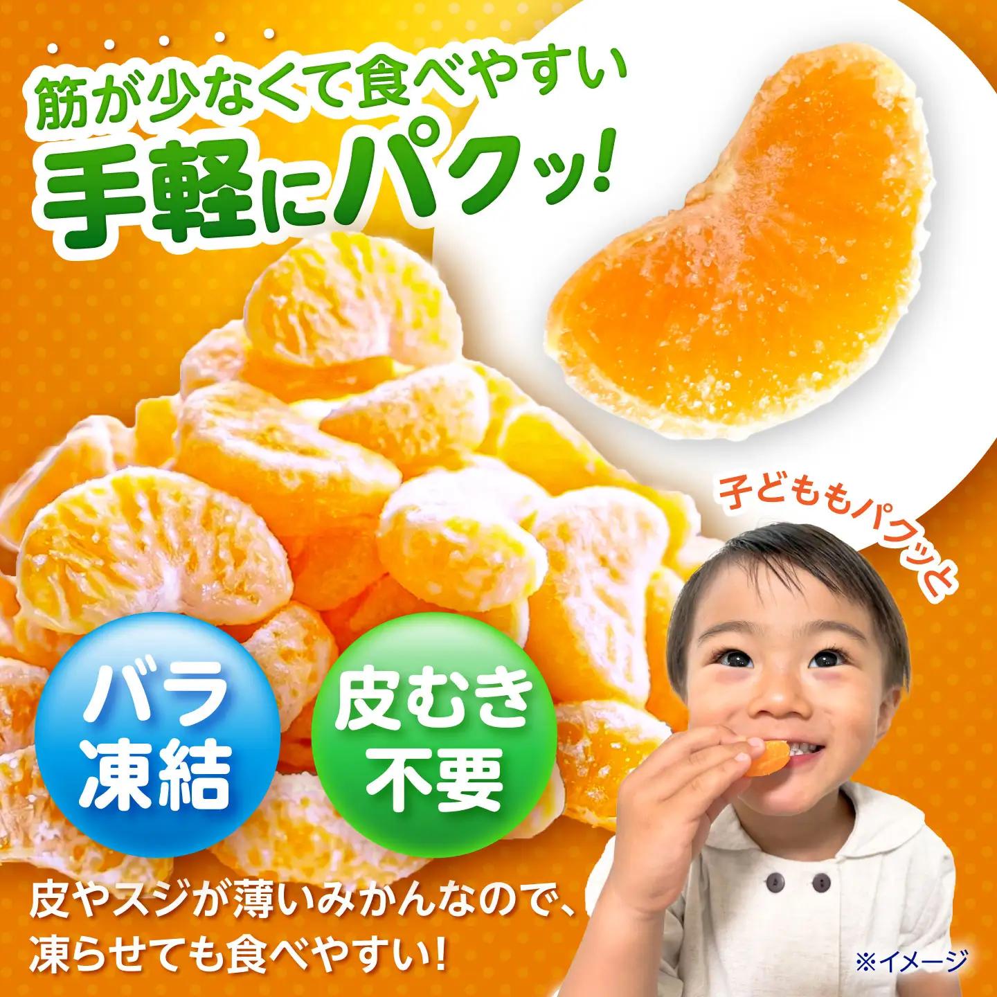【訳あり】冷凍みかん 500g×2 温州みかん AHBD006