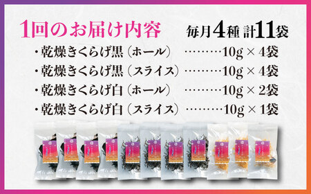 【全12回定期便】栄養満点スーパーフード！りんりんきくらげ ぷりこりセット 計11袋 国産 乾燥 美容 健康 料理 和食 簡単 レシピ ビタミンD きのこ らーめん 江田島市/株式会社凛[XCB011