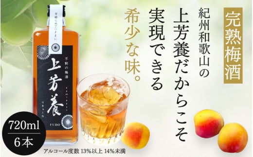 完熟梅酒「上芳養」（アルコール度数13％以上14％未満）720ｍｌ×６本  / 和歌山県 和歌山県産 不動農園 上芳養 田辺市 南高梅 紀州南高梅 完熟梅 梅酒 お酒 無添加梅酒 無添加 ロック 水割