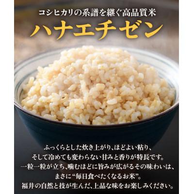 ふるさと納税 あわら市 【令和8年産】 【一等米】エコ栽培ハナエチゼン 玄米10kg (5kg×2袋) |  | 01