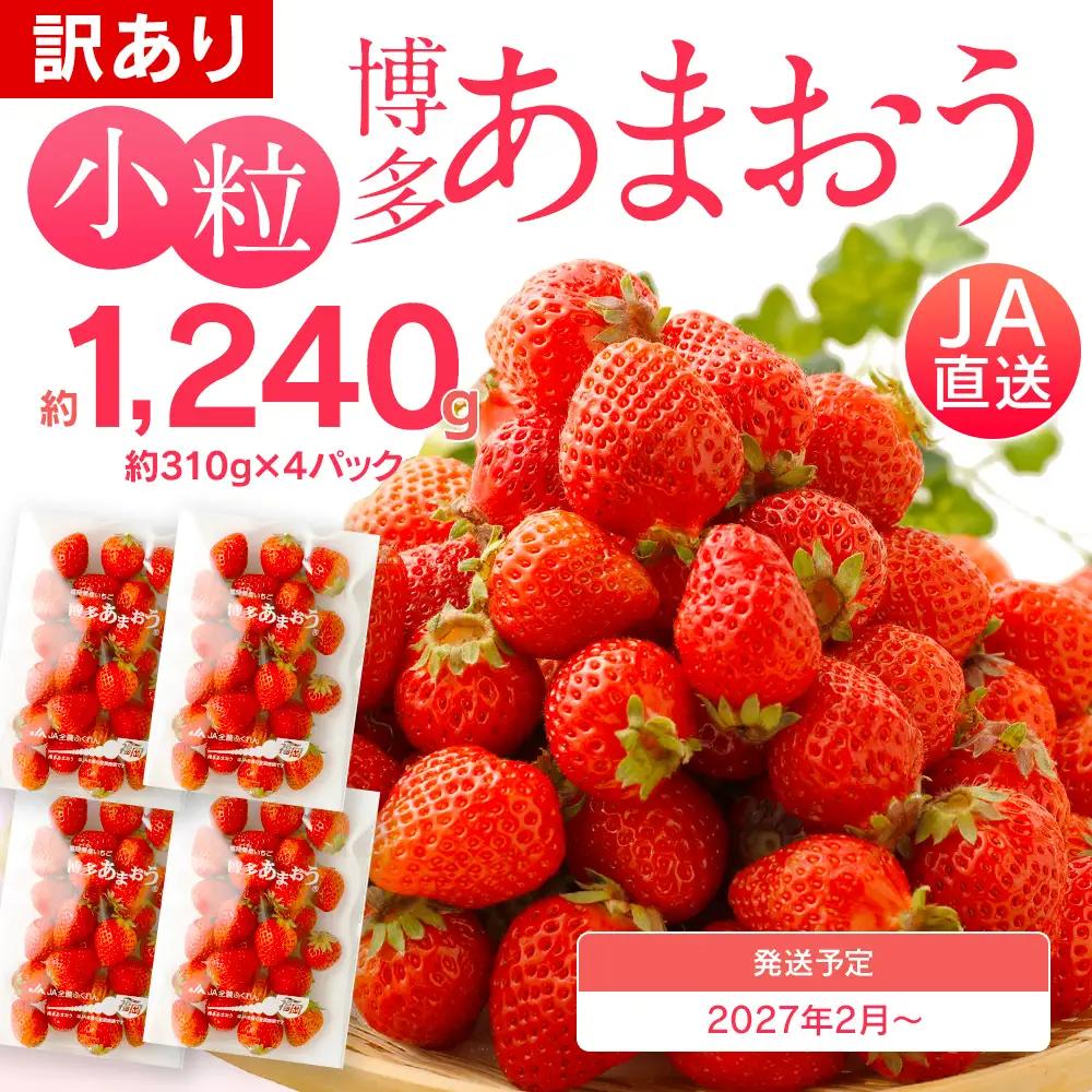 訳あり 小粒いちご あまおう 合計約1240g 約310g×4パック【2027年2月より順次発送】 いちご