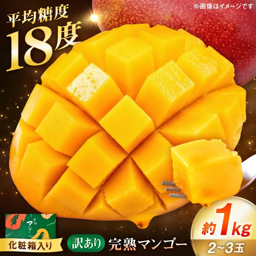 【訳あり】 完熟マンゴー約1kg 宮本マンゴー農園[AYDU001]