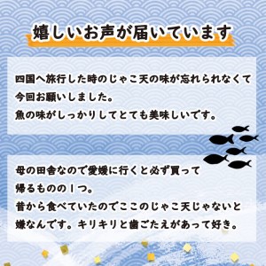 【 じゃこ天 】 じゃこ天 40枚 山田商店