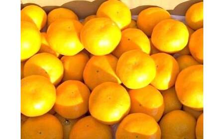 まちなが家族農園の小玉みかん 3.5kg みかん ミカン 蜜柑 たらみかん 太良みかん 温州みかん 完熟みかん 甘熟 柑橘 国産 佐賀県産 太良町 こだわり 産地直送 贈答品 詰め合わせ 極甘 M119