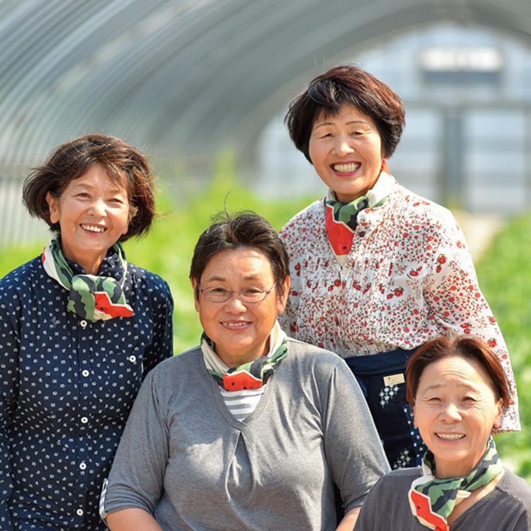 スイカ 3L 8kg 1玉 とまり 美人 西瓜 (17MS.)| 鳥取県 湯梨浜町 果物 フルーツ 特産品 2026年 先行予約 先行受付