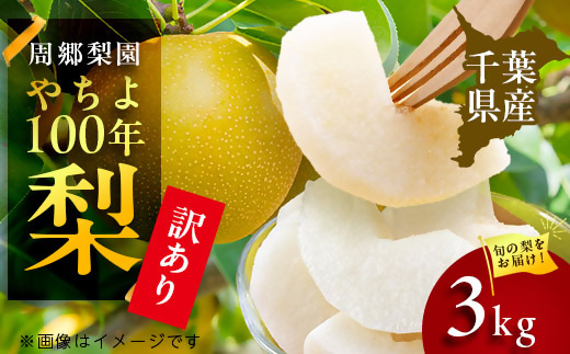
                  2025年発送先行受付 周郷梨園のやちよ100年梨家庭用(3kg)【1493890】
                