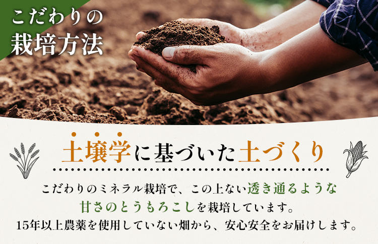 【先行予約】上原農場直送 とうもろこし (ピュアホワイト)  約30kg 約65本前後【66018】_イメージ3
