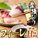 【ふるさと納税】豊後ぶりフィーレ (計約1.1kg) 鰤 真空パック 刺身 さしみ 刺し身 照り焼き ブリしゃぶ しゃぶしゃぶ 大分県 佐伯市【GD002】【東海シープロ (株)】