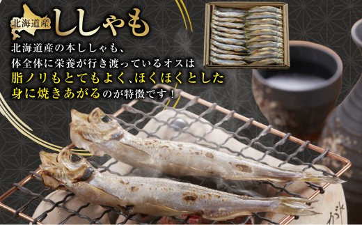 北海道産・ししゃもオス40尾 ふるさと納税 ししゃも F4F-3602
