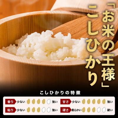 ふるさと納税 笠間市 令和7年産 コシヒカリ 精米10kg 特A 茨城県笠間市 |  | 02