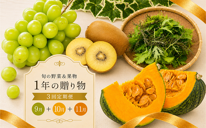 定期便 3回 シャインマスカット キウイ ぶどう ゴールドキウイ 野菜 セット 旬 季節 秋 果物 フルーツ 旬 旬のフルーツ 贈答用 ギフト プレゼント 香川県 丸亀市 有機野菜&マスカット&さぬき