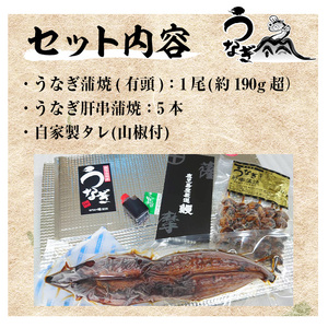 訳あり！国産うなぎ（鹿児島県産うなぎ）蒲焼 特大 190g超 と うなぎの肝串1袋（5本入り）訳ありうなぎの蒲焼 うなぎ 鰻 ウナギ 国産 鹿児島県産 うなぎの蒲焼のタレ付き 国産うなぎ 鹿児島県産う