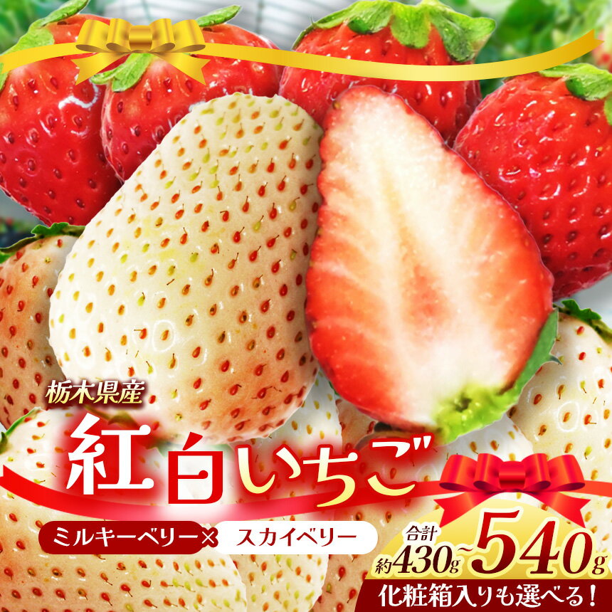 【ふるさと納税】栃木県産 スカイベリー ミルキーベリー 約430～540g | 選べる 約270g×2 12～15粒化粧箱入 紅白 2025年度産 2026年12月より随時出荷 産地 大粒 冬 味覚 いちご 苺 イチゴ ストロベリー 大きい ジューシー 甘い あまい 甘味 人気 栃木県 下野市 送料無料