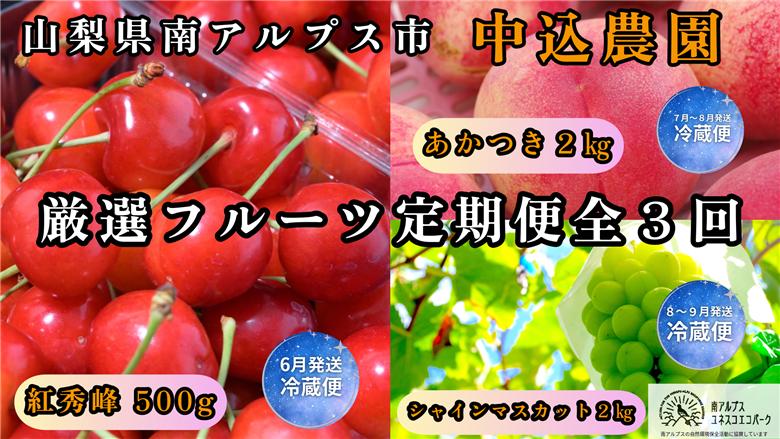 ＜2026年発送先行予約＞山梨県南アルプス市産 厳選フルーツ定期便全3回B(さくらんぼ・桃・シャインマスカット2kg) ALPEM018