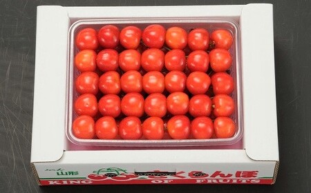 さくらんぼ（佐藤錦か紅秀峰）５００ｇ　手詰め　0020-2608