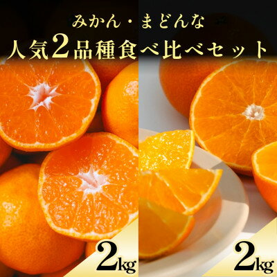 【ふるさと納税】みかん+まどんな 人気2品種食べ比べ 【各2kg】【D70-36】【1536339】