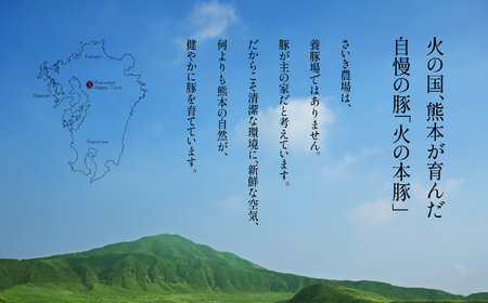 【定期12回発送】火の本 豚 食べ比べセット 切り落とし1100g しゃぶしゃぶ 用 ロース 600g 豚肉