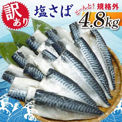 ふるさと納税 神栖市 【訳あり】塩さば　どーんと!　4.8kg