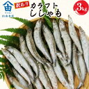 【ふるさと納税】 訳あり ししゃも 3kg カラフト 丸干し 干物 ひもの セット 冷凍