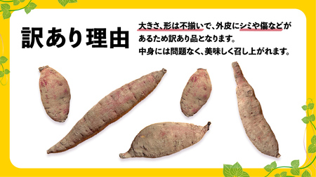 【 訳あり 無選別 】【 熟成 】 八千代町産 土付き 紅はるか 生芋 約10kg さつまいも 焼き芋 大学芋 スイーツ 産地直送 [AX010ya]