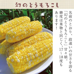 【2026年6月発送】 とうもろこし 甘々娘 5本 約2kg ｜ とうもろこし