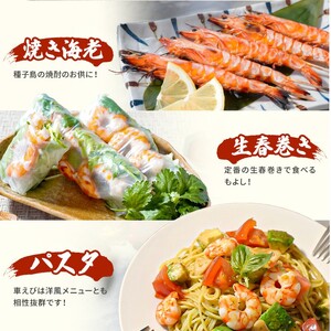 種子島 産 車えび ３L 冷凍 車海老 (250g×2袋) 計500g　NFN553【325pt】