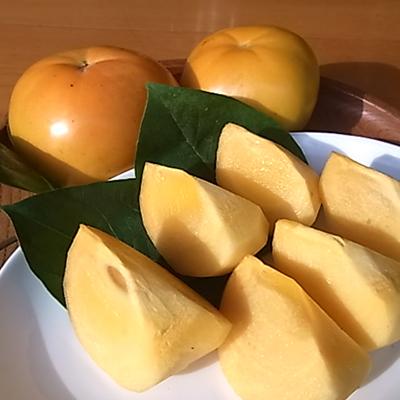ふるさと納税 津山市 【先行受付】津山産高級大甘柿　太秋大甘柿