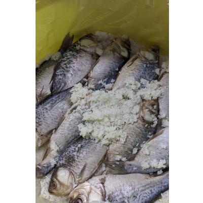 ふるさと納税 草津市 鮒寿し(琵琶湖産ニゴロ鮒)スライス |  | 03