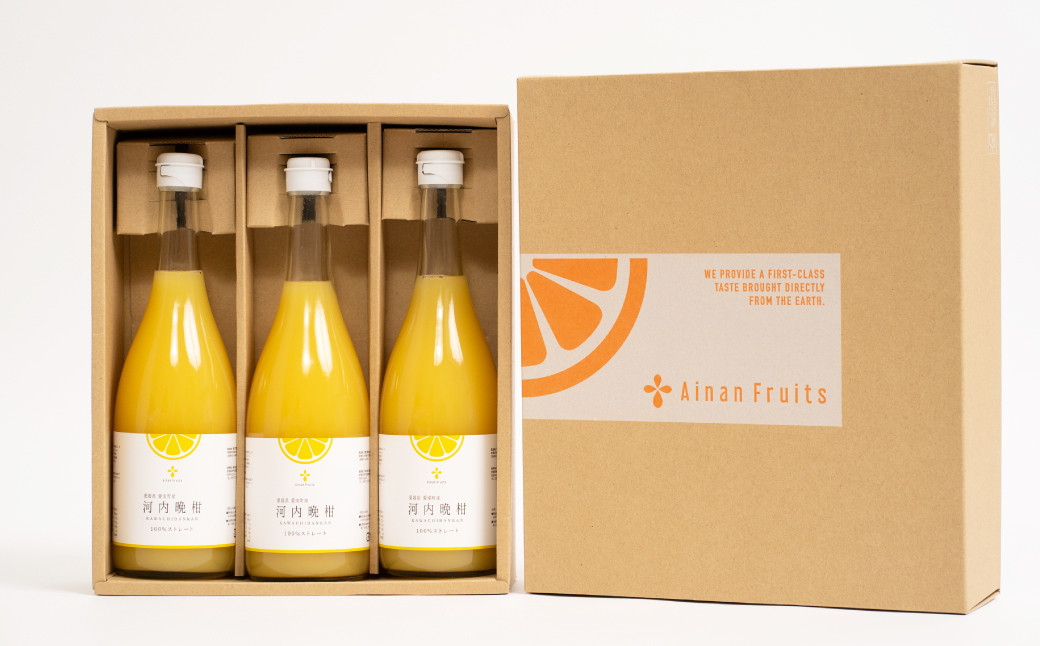 無添加 果汁100％ 河内晩柑ジュース 720ml×3本入【えひめの町（超）推し！（愛南町）】（576）