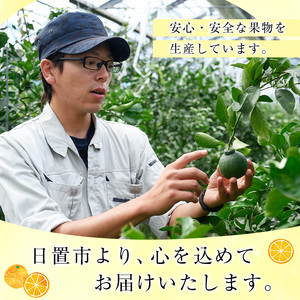 No.1215 ＜数量限定＞薩摩不知火クラフトビール「FukiageIPA」(330ml×3本) 不知火 クラフトビール ビール 果物 果実 フルーツ 柑橘 みかん ミカン オレンジ ギフト 贈答 プ