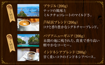 【6か月定期便】世界流通量上位5％スペシャルティコーヒー【粉】