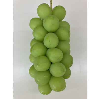 山梨市産シャインマスカット(極上)1房(650g以上)【配送不可地域：離島】