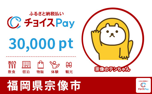 
宗像市チョイスPay 30,000pt（1pt＝1円）_HA1562【会員限定のお礼の品】
