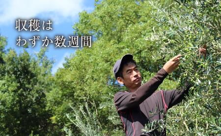 【井上誠耕園】～2025年とれたて～ 新漬けオリーブ ミッション種 80g×3袋