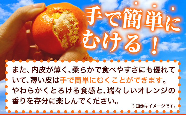 【先行予約】【家庭用 訳あり】とろける食感!ジューシー柑橘 せとか 約 5kg 魚鶴商店 《2027年2月中旬-3月中旬頃出荷》 和歌山県 日高町 みかん 柑橘 果物 フルーツ 送料無料