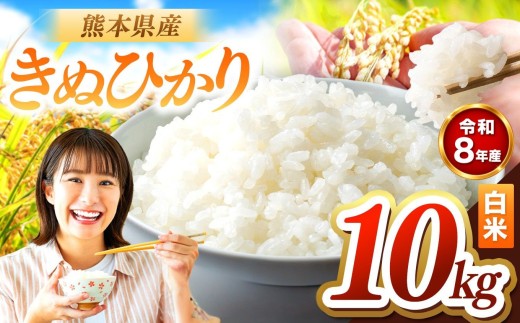R8年産 きぬひかり 白米 10kg | お米 米 こめ おこめ 精米 キヌヒカリ 10キロ 国産 国産米 くまもと 熊本 熊本県 玉名市 玉名