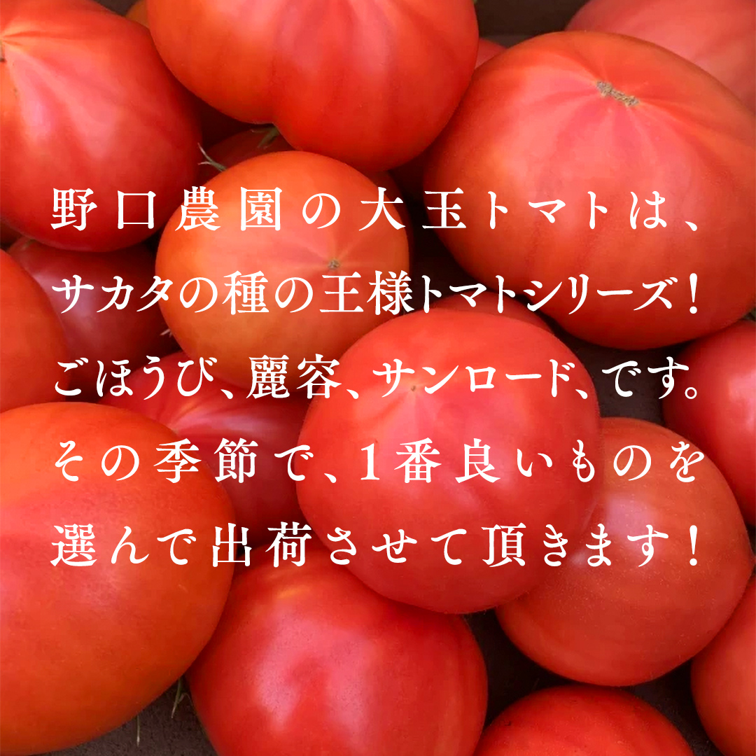 野口農園！ 王様トマト 約2kg ( 8～12個入り )！ ごほうび・麗
