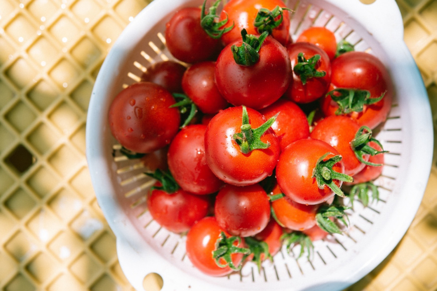 トマト ミニトマト ミニトマト エコスイート 1.5kg [そのぎ茶深緑の里 長崎県 東彼杵町 hs42bag570002] トマト ミニトマト エコスイート 甘い