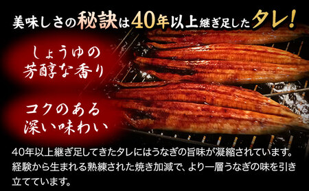うなぎ 大型サイズ 国産うなぎ蒲焼き 3尾