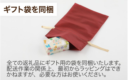 ミニピク キッズカメラ ふるさと納税限定デザイン 【グリーン、ティラノサウルス】 [A-169001_02] / キッズカメラ MiNiPiCR ミニピク トイカメラ スマホ転送可能 SDカード 転送 付き  使い方がわかりやすい 日本語説明書 誕生日プレゼント 知育玩具 子供 大人 デジタルカメラ 日本製 ゲーム無し