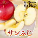 【ふるさと納税】先行予約 令和6年産 りんご サンふじ 3kg 5kg 10kg 岩手県 金ケ崎町産 先行予約 贈答用