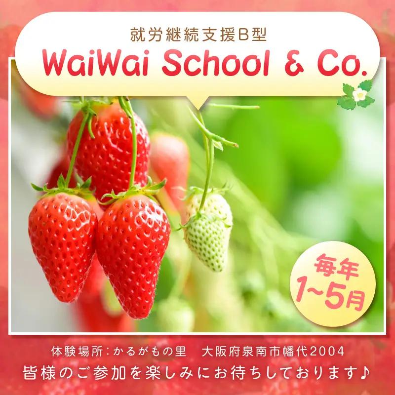 いちご狩り体験ペアチケット（大人1名・小人1名）【ふるさと納税3.0】【117D-004】