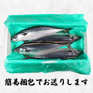 一汐さば  4尾 さば さば さば さば さば エドノフーズ