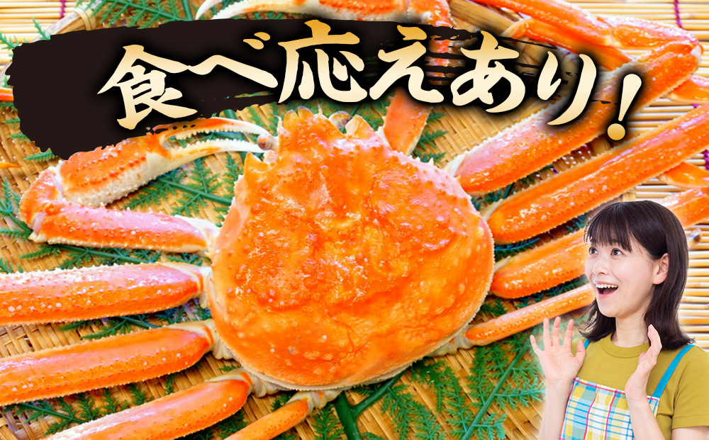 北海道産【 朝ゆで 】訳ありオオズワイガニ 2.0kg詰 ＜かにのマルマサ＞道産品 オオズワイ ズワイガニ ずわい蟹 カニ 蟹 規格外品 不揃い 訳アリ 訳有り